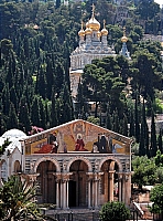 Вид на Масличную Гору. Храм Всех Наций и церковь Марии Магдалины.