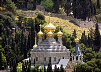 Вид на Масличную гору. Церковь Марии Магдалины.