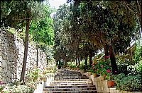 Сад при церкви св. Марии Магдалины.