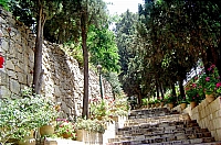 Сад при церкви св. Марии Магдалины.
